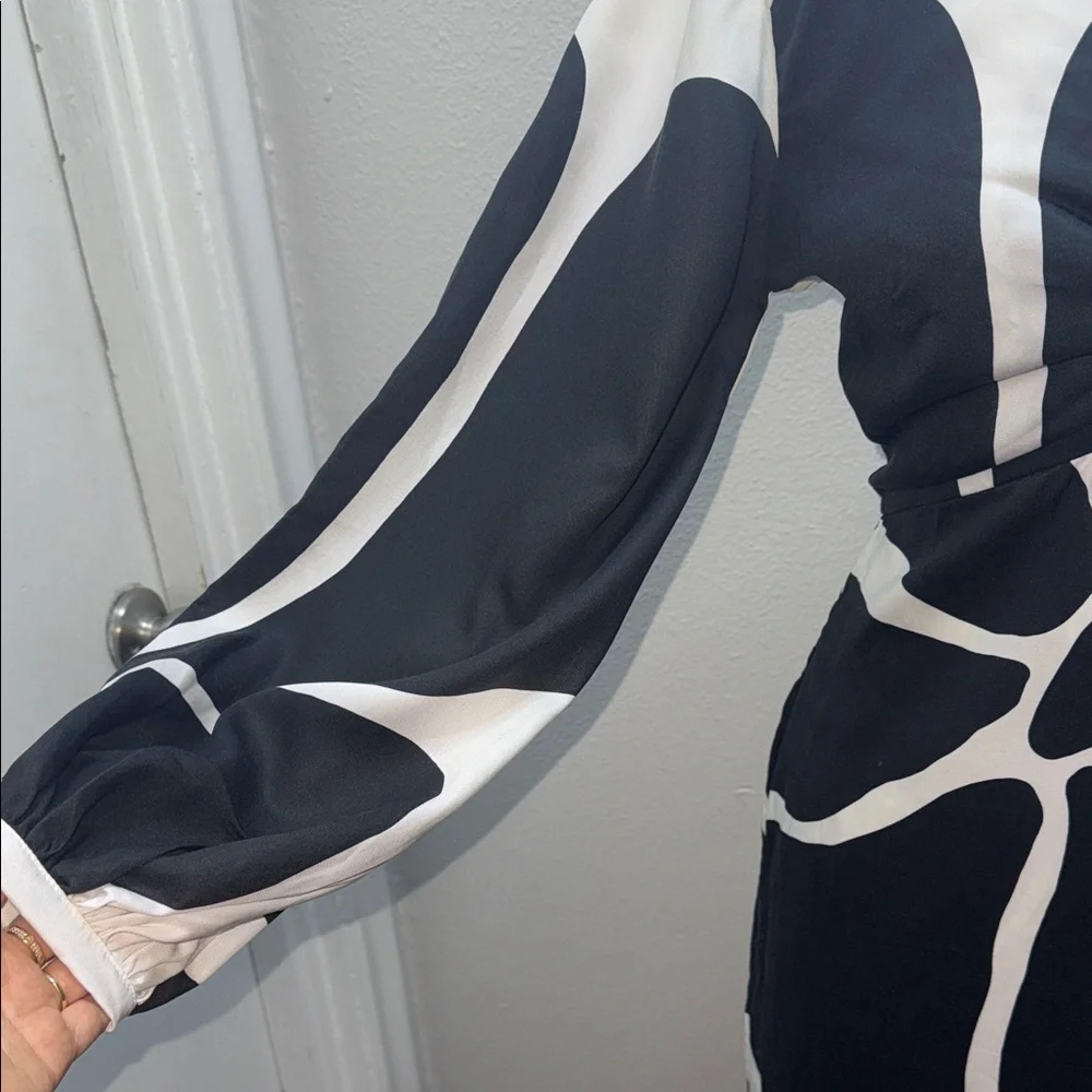 Rafaella Cala de la Cruz Chic Monochrome Long Sleeve Dress - Picture 8 of 11